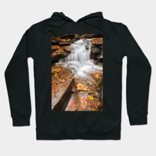 Lowzone Falls Hoodie